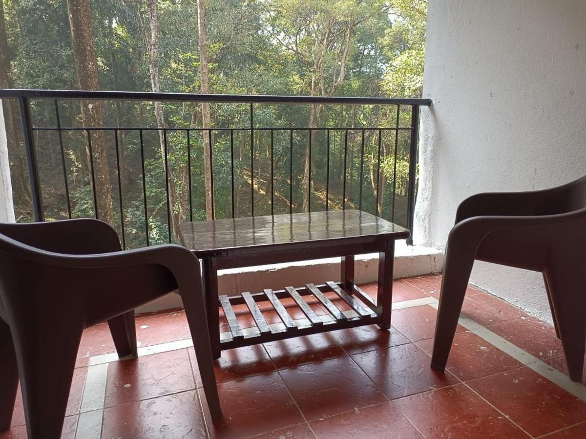 ホテル Qexperiences Coorg マディケーリ エクステリア 写真
