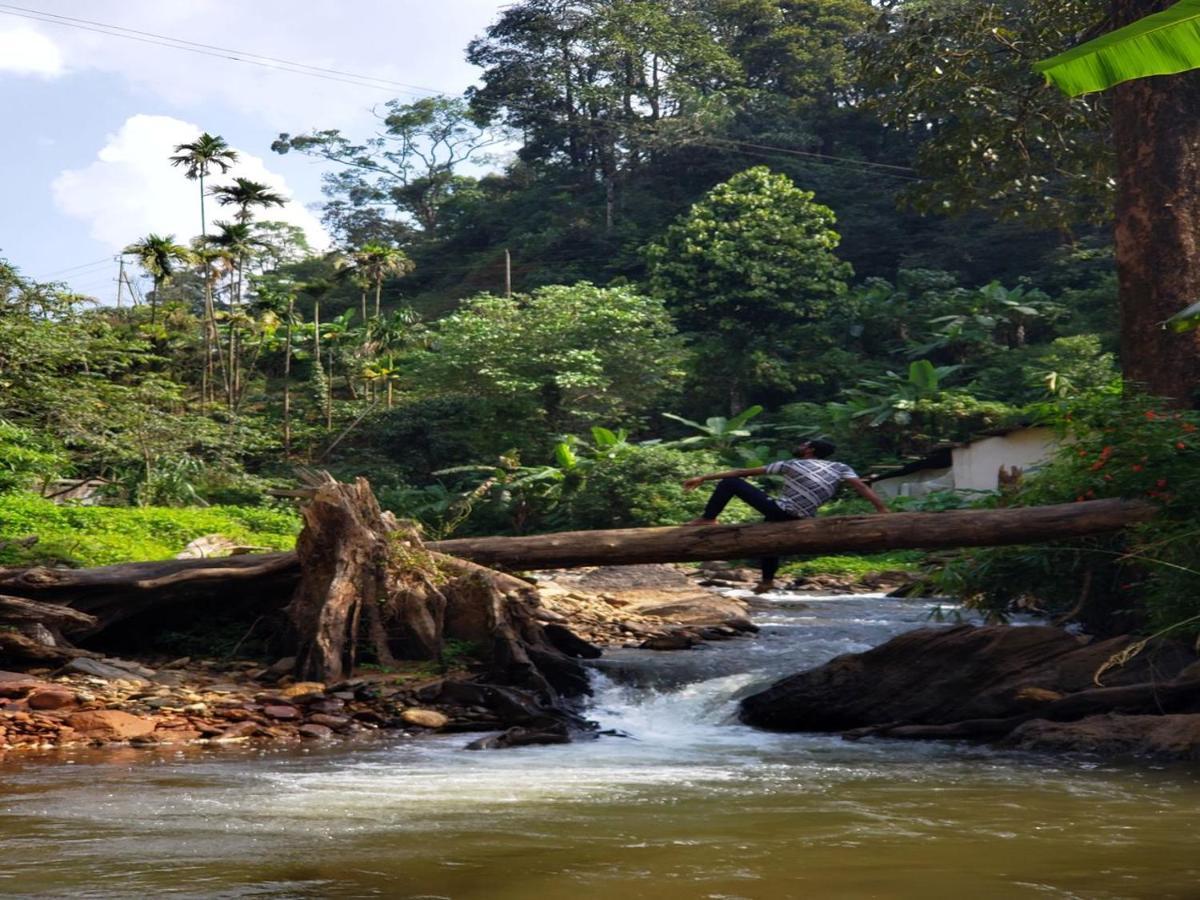 ホテル Qexperiences Coorg マディケーリ エクステリア 写真